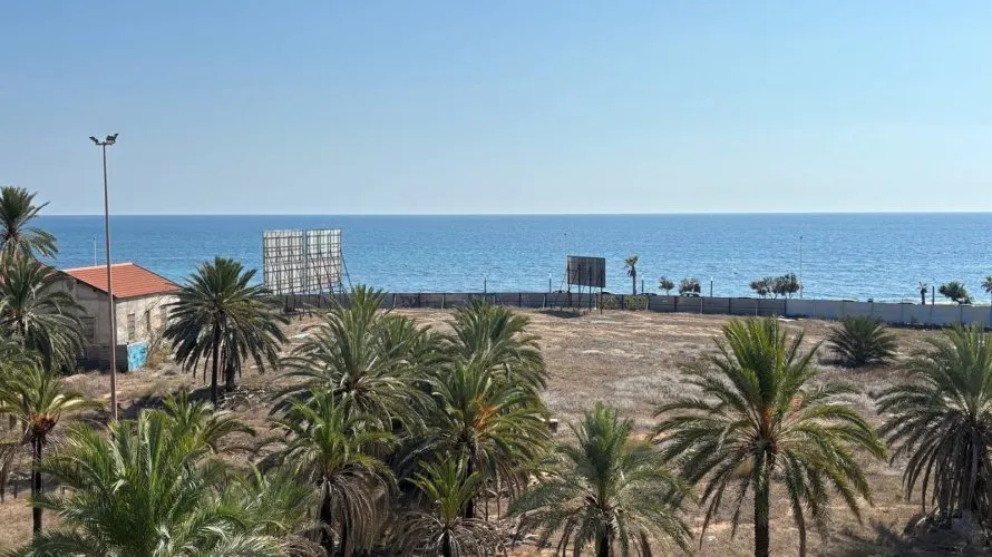 Apartamento de 1 dormitorio en Torrevieja, España No. 197 № 6