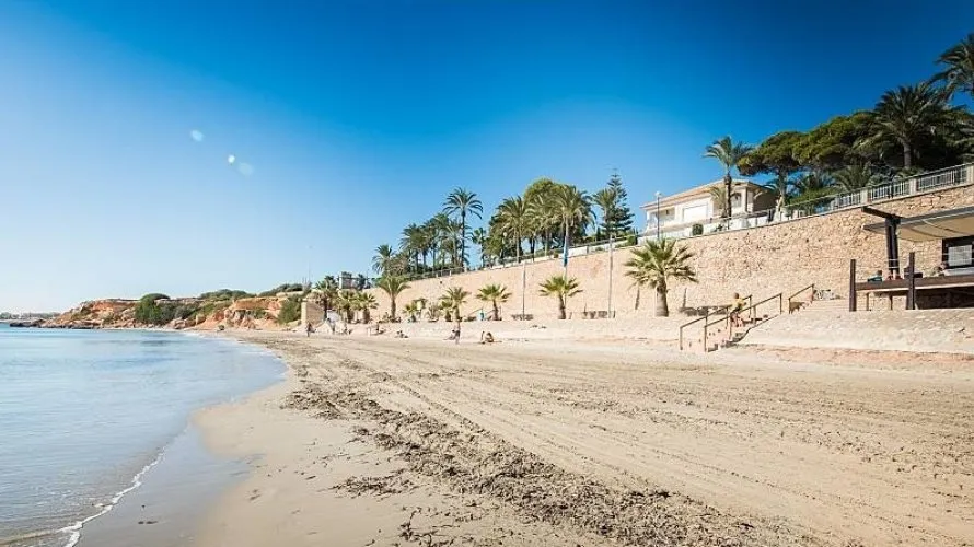 Villa de 4 dormitorios en Torrevieja, España No. 328 № 12