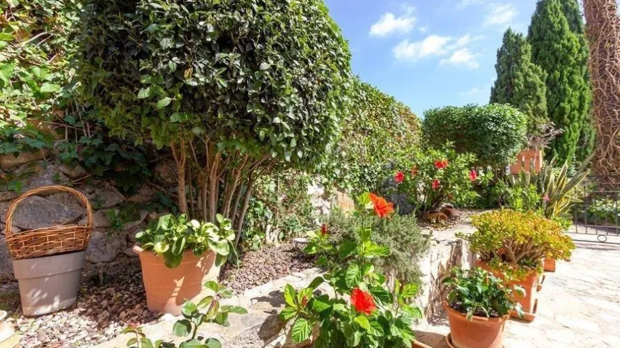Apartamento de 4 dormitorios en Finestrat, España No. 688 № 12