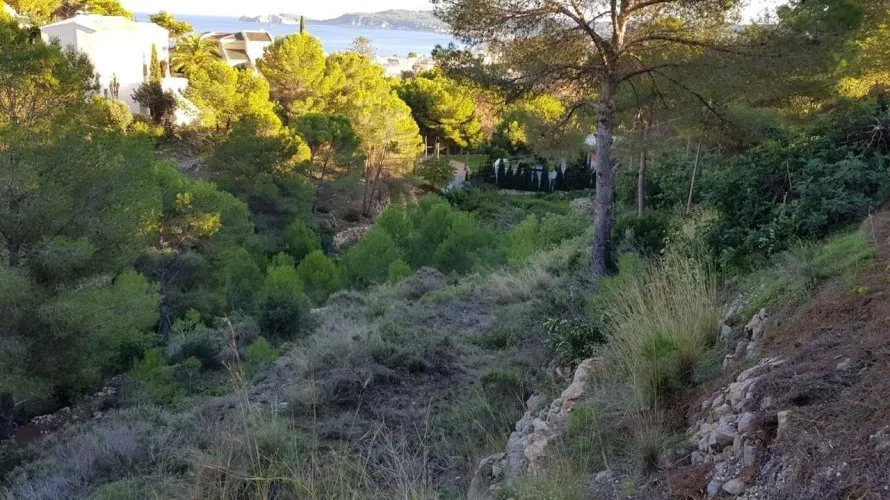 Parcela de en Jávea, España No. 418