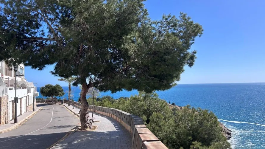 Apartamento de 1 dormitorio en Benidorm, España No. 784 № 8