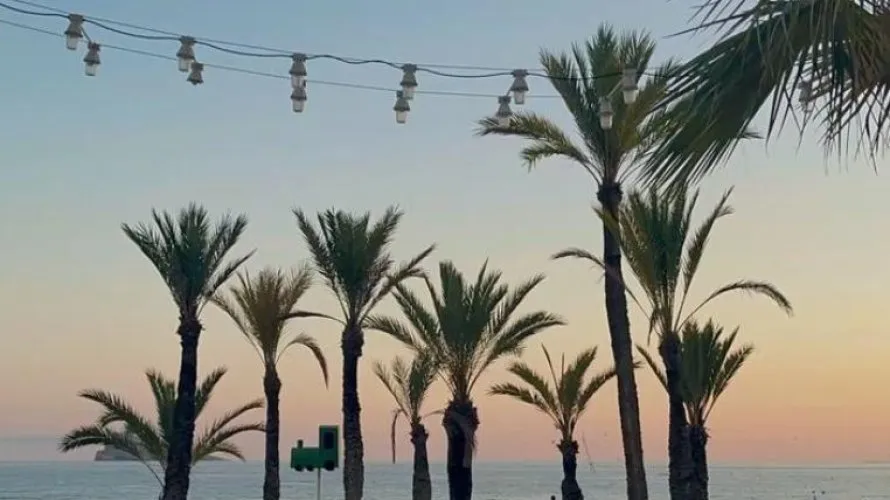 Apartamento de 1 dormitorio en Benidorm, España No. 1170 № 1