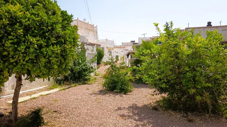 Bungalow de 1 dormitorio en Torrevieja, España No. 1566 № 1