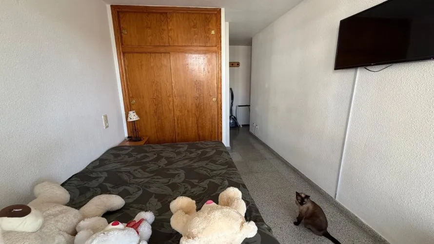 Apartamento de 3 dormitorios en Guardamar del Segura, España No. 1806 № 11