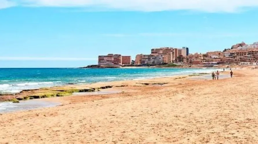 Apartamento de 1 dormitorio en Torrevieja, España No. 1909