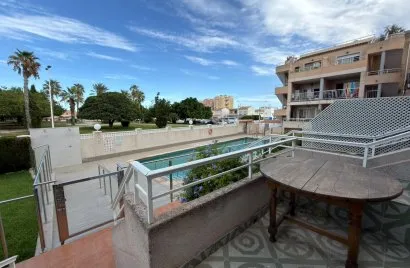 Bungalow de 1 dormitorio en Torrevieja, España No. 1879