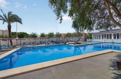 Apartamento de 2 dormitorios en Pilar de la Horadada, España No. 1985
