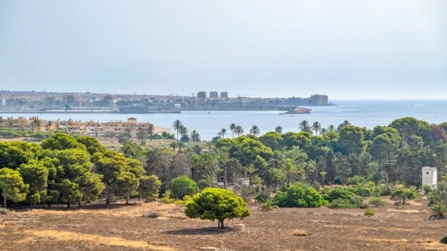 Ático de 75m² en Torrevieja, España No. 1958 № 3