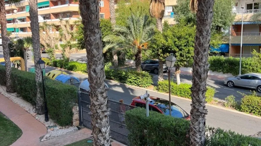 Apartment de 2 chambres à Torrevieja, Espagne No. 123 № 22