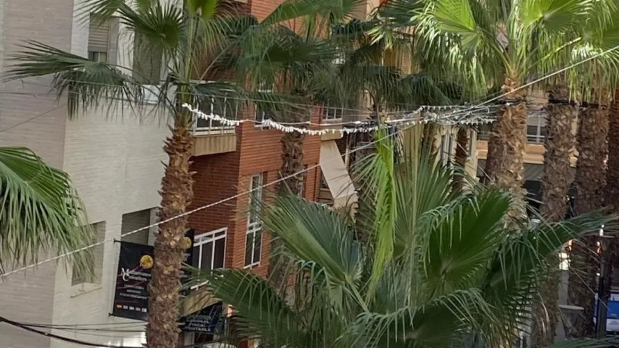 Apartment de 4 chambres à Torrevieja, Espagne No. 554 № 12