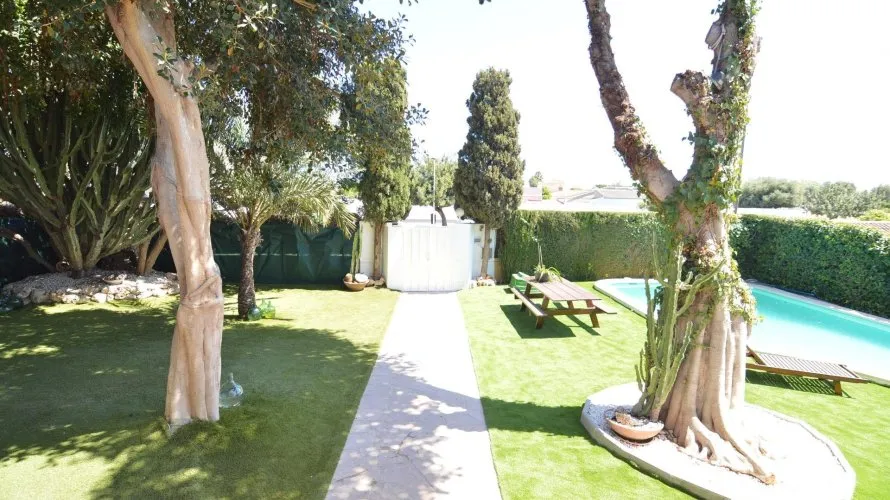 Villa de 4 chambres à Torrevieja, Espagne No. 90 № 7
