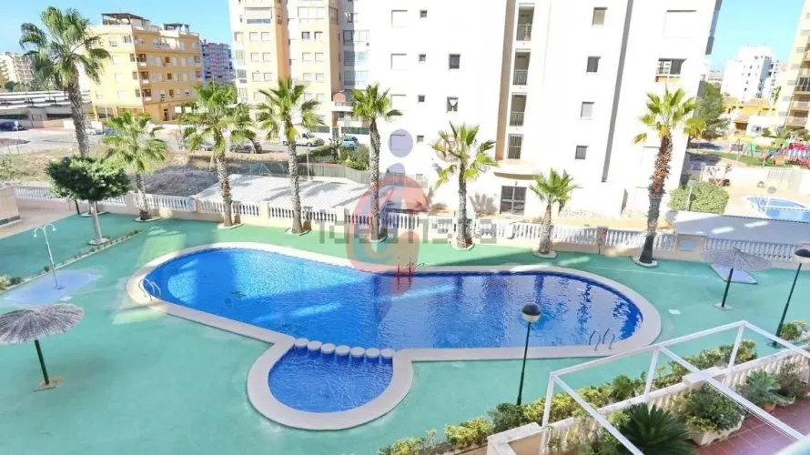Penthouse de 4 chambres à Guardamar del Segura, Espagne No. 746 № 4