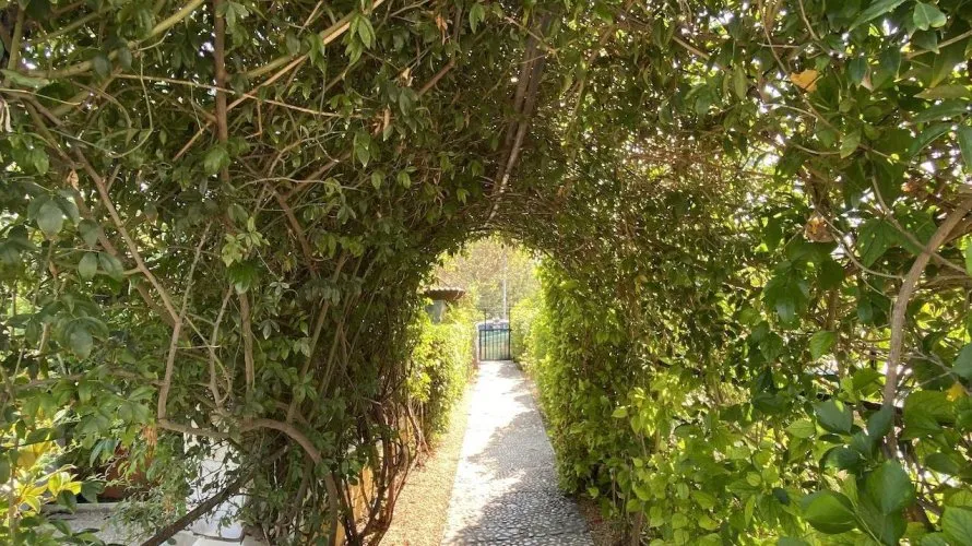 Villa de 4 chambres à L'Alfàs del Pi, Espagne No. 338 № 12