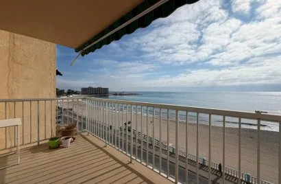 Apartment de 4 chambres à Torrevieja, Espagne No. 691