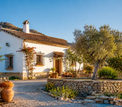 Les prix sur la Costa Blanca ont grimpé de 14 % en 2025. Les villas premium en bord de mer prennent de la valeur plus vite que le marché № 1
