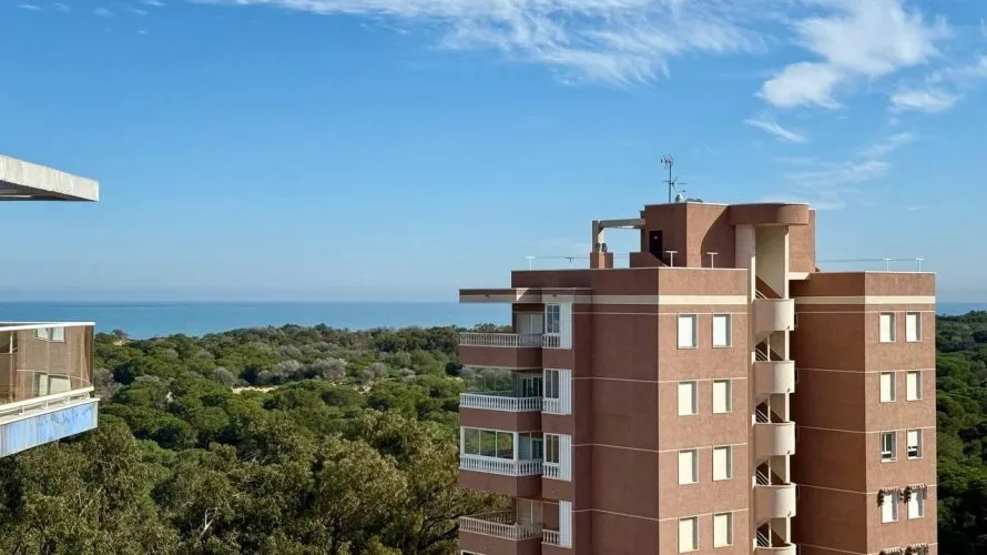 Apartment de 3 chambres à Guardamar del Segura, Espagne No. 682 № 15