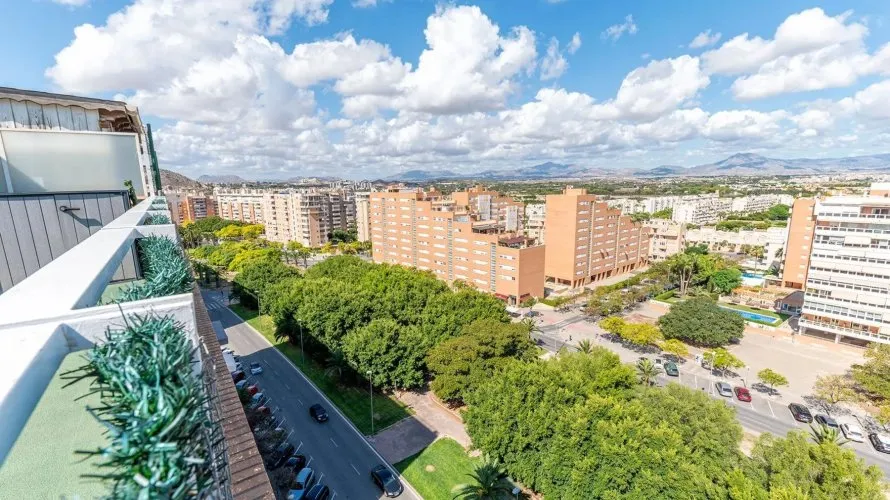 Penthouse de 5 chambres à Alicante, Espagne No. 1262 № 22