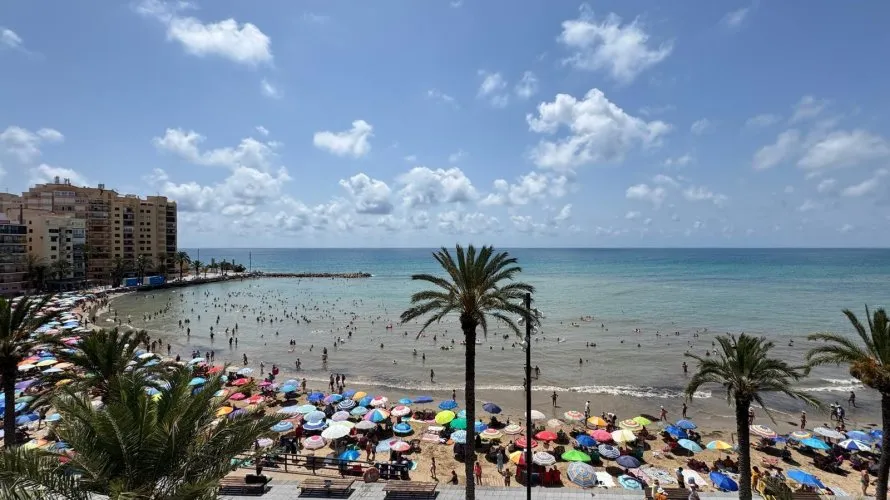 Apartment de 3 chambres à Torrevieja, Espagne No. 1238 № 11