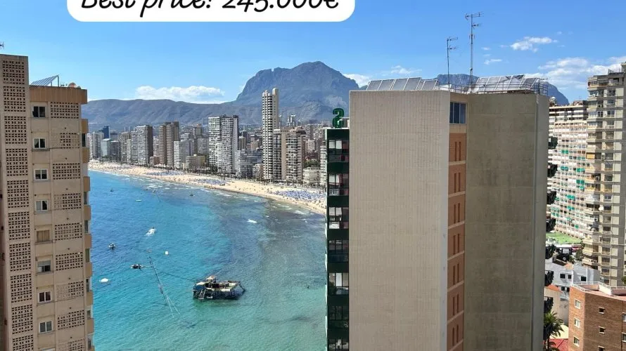 Apartment de 1 chambre à Benidorm, Espagne No. 1170 № 4