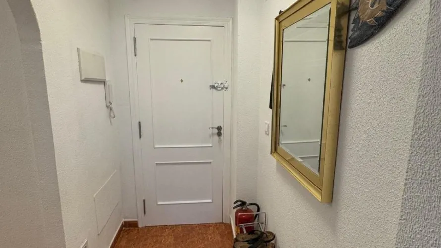 Apartment de 3 chambres à Torrevieja, Espagne No. 1265 № 9