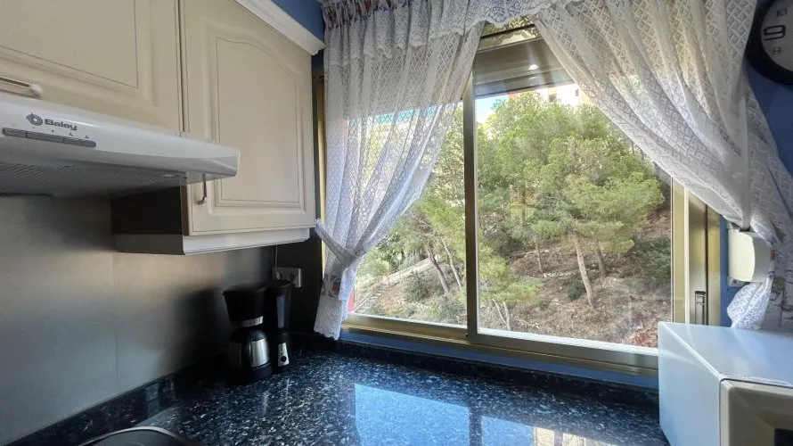 Apartment de 3 chambres à Benidorm, Espagne No. 1249 № 18