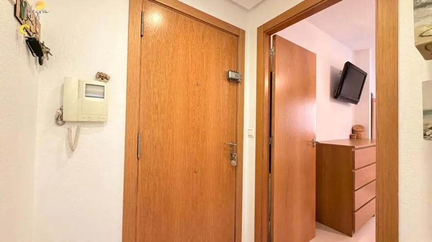Apartment de 1 chambre à Torrevieja, Espagne No. 1542 № 3