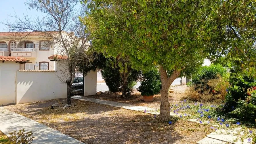 Bungalow de 1 chambre à Torrevieja, Espagne No. 1566 № 2