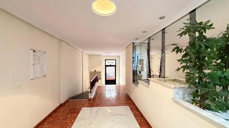 Apartment de 1 chambre à Torrevieja, Espagne No. 1467