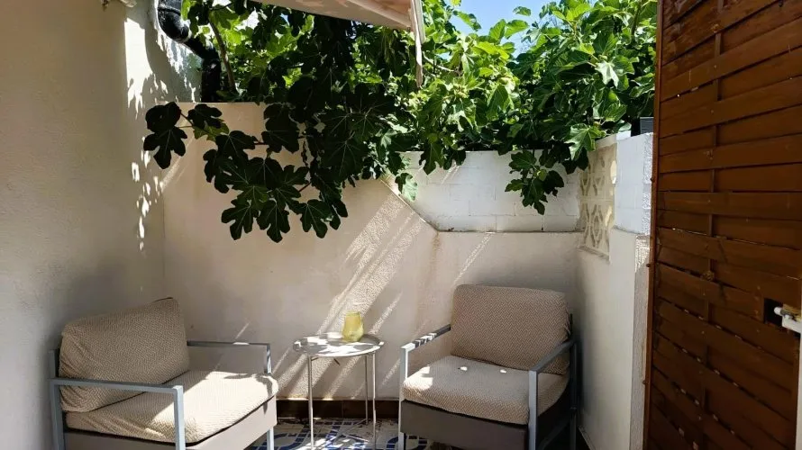 Bungalow de 1 chambre à Torrevieja, Espagne No. 1566 № 26