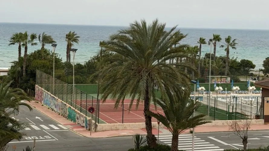 Apartment de 1 chambre à Torrevieja, Espagne No. 1486 № 6