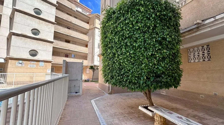 Apartment de 2 chambres à Torrevieja, Espagne No. 1302
