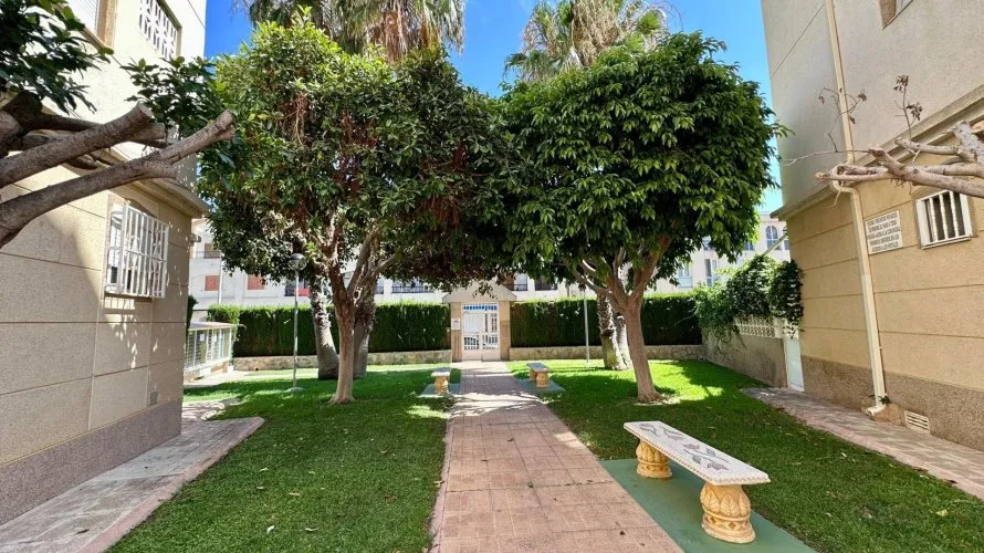 Apartment de 2 chambres à Torrevieja, Espagne No. 1302 № 1