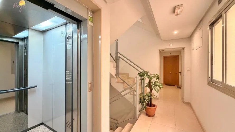 Apartment de 1 chambre à Torrevieja, Espagne No. 1542 № 1