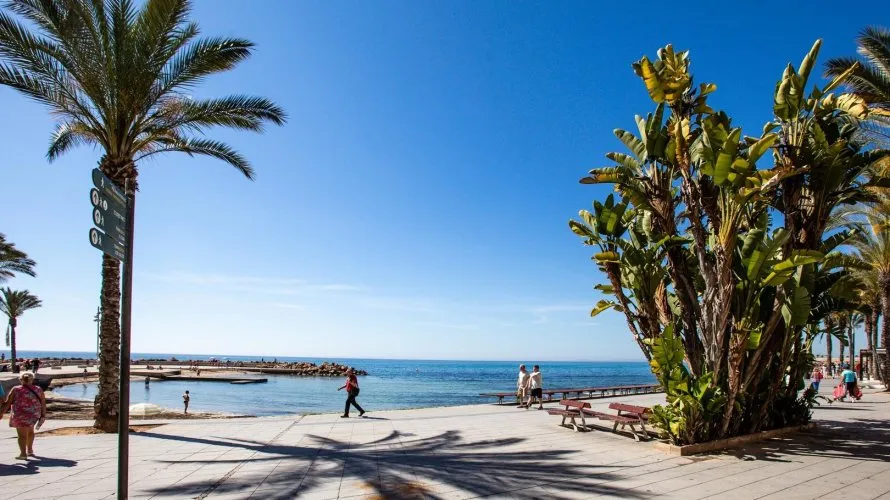 Apartment de 24m² à Torrevieja, Espagne No. 1819 № 4