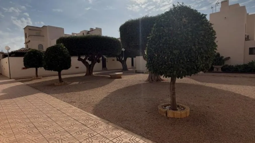 Bungalow de 1 chambre à Torrevieja, Espagne No. 1975