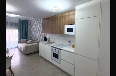 Квартира с 1 спальней в Торревьеха, Испания №751
