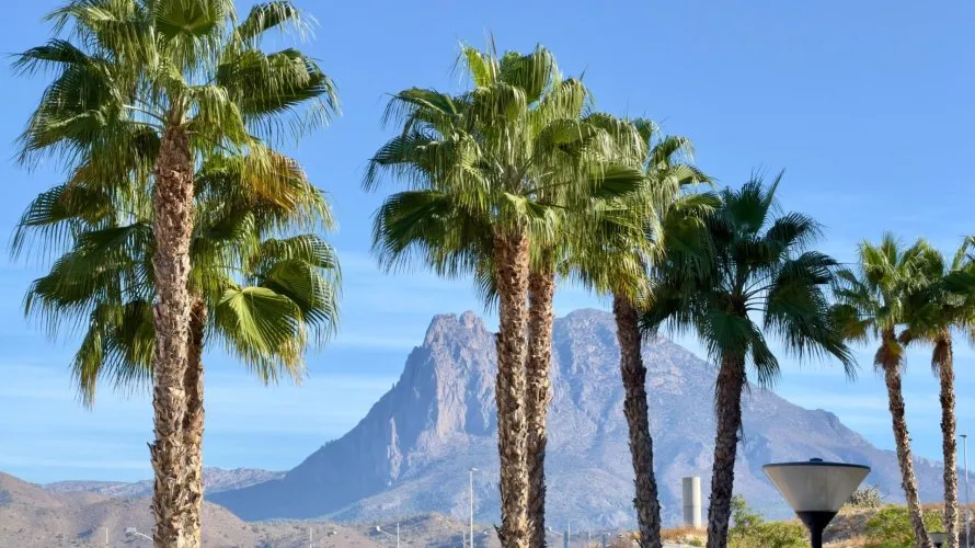 Квартира с 3 спальнями в Вильяхойоса, Испания №1878 № 8