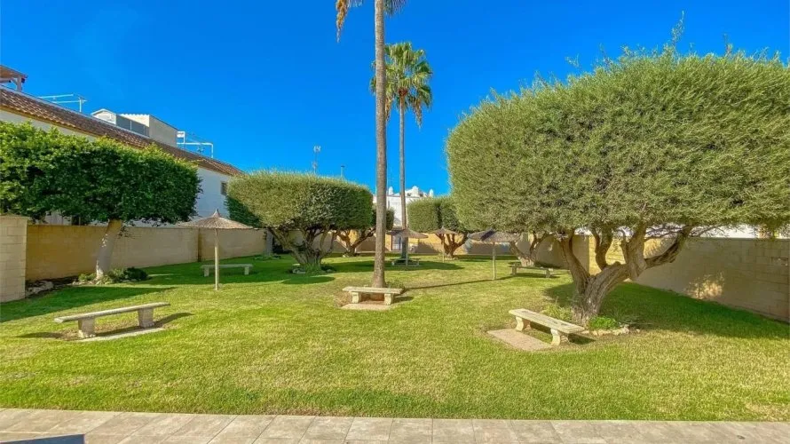 Бунгало 55м² в Торревьеха, Испания №1959 № 1