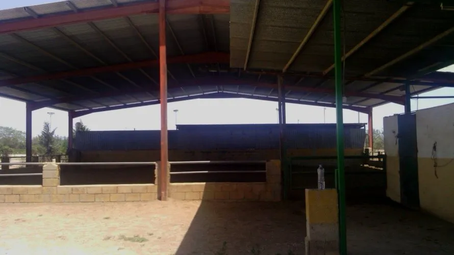 3 bedrooms commercial property for sale, Elche, Spain No. 227 № 6