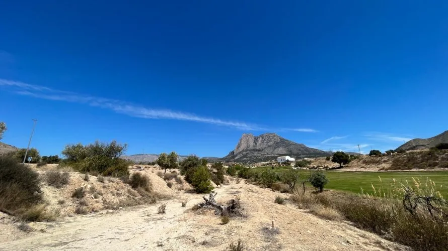 Land plot for sale, Finestrat, Spain No. 317 № 5