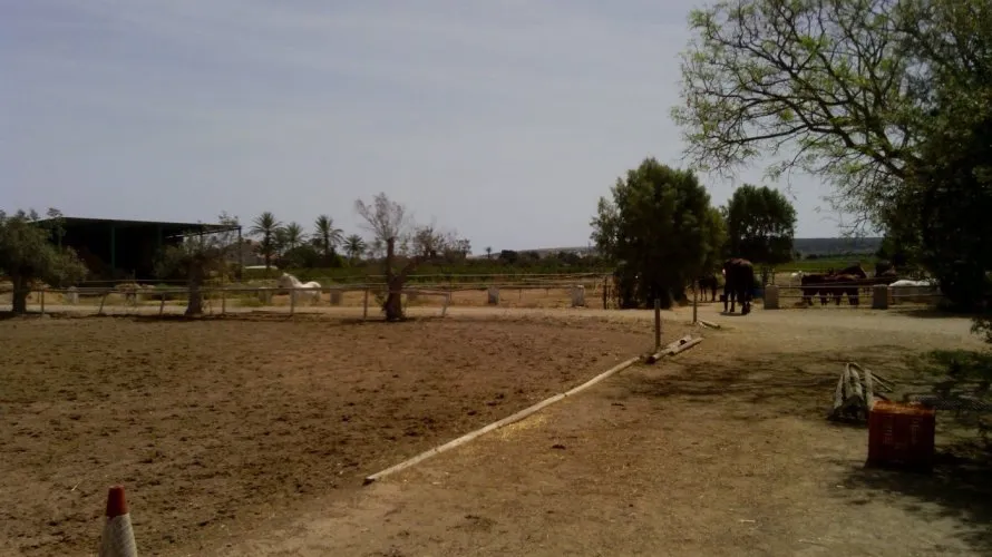 3 bedrooms commercial property for sale, Elche, Spain No. 227 № 9