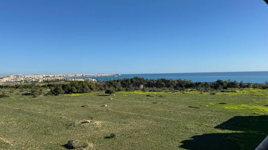 2 bedrooms penthouse for sale, Torrevieja, Spain No. 658 № 11
