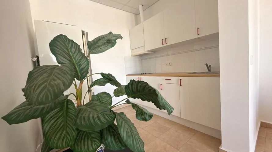 384m² villa for sale, Calpe, Spain No. 124 № 8