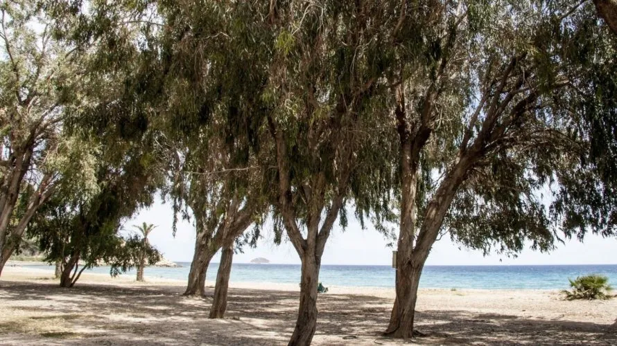 1 bedroom land plot for sale, Villajoyosa, Spain No. 264 № 9