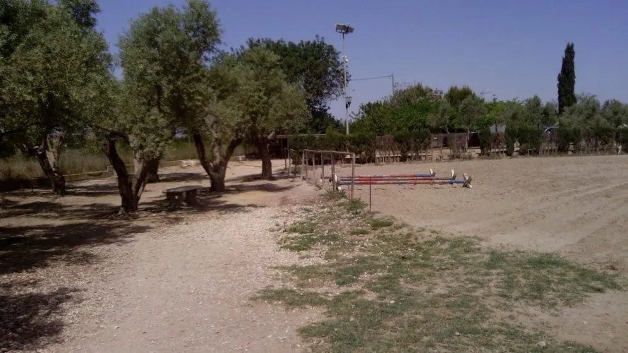 3 bedrooms commercial property for sale, Elche, Spain No. 227 № 15