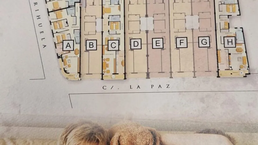 3 bedrooms apartment for sale, Torrevieja, Spain No. 1203 № 21