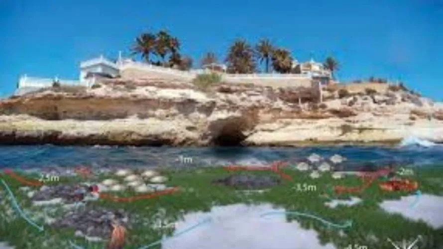 Land plot for sale, El Campello, Spain No. 1442 № 1