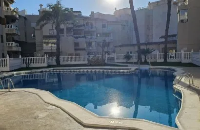 1 bedroom apartment for sale, Torrevieja, Spain No. 1388