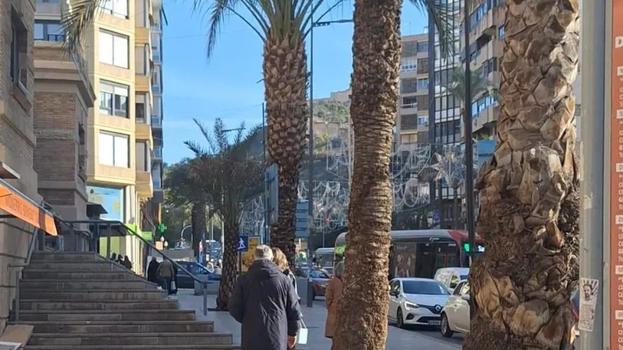 19m² commercial property for sale, Alicante, Spain No. 1463 № 6